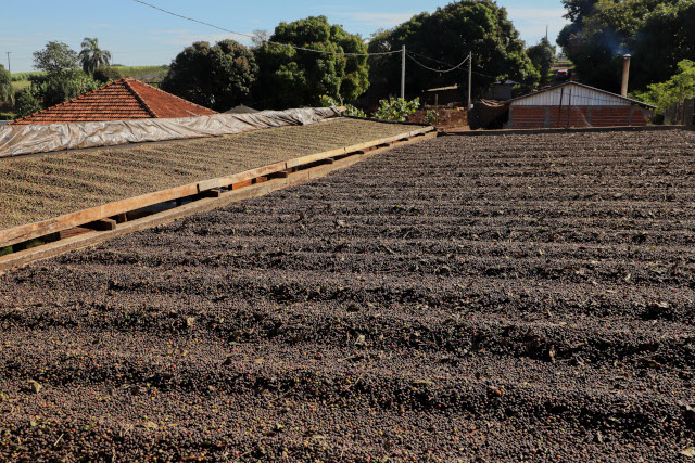 CafeMandaguari_02_640