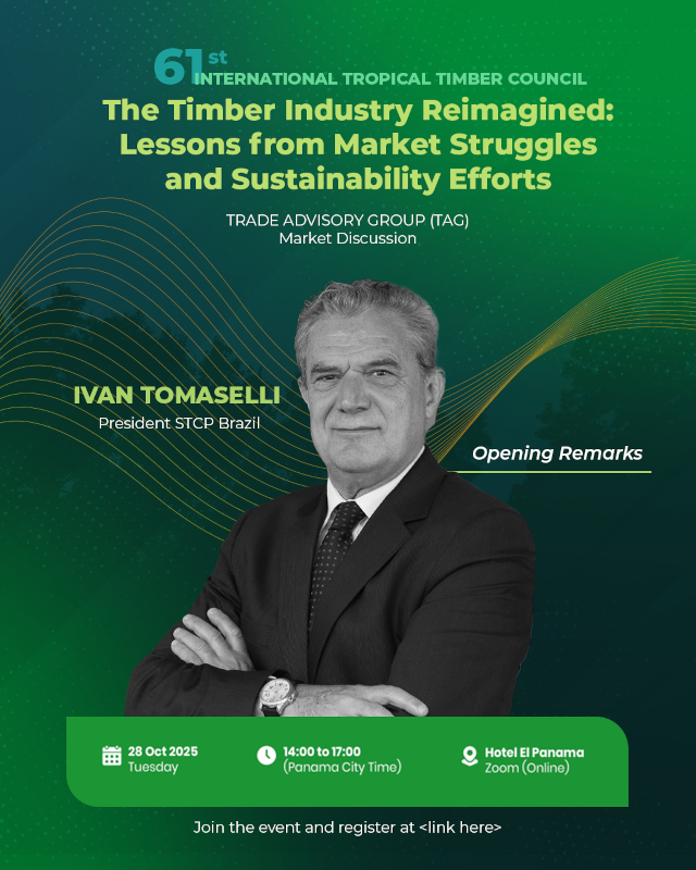 STCP_DrTomaselli_640