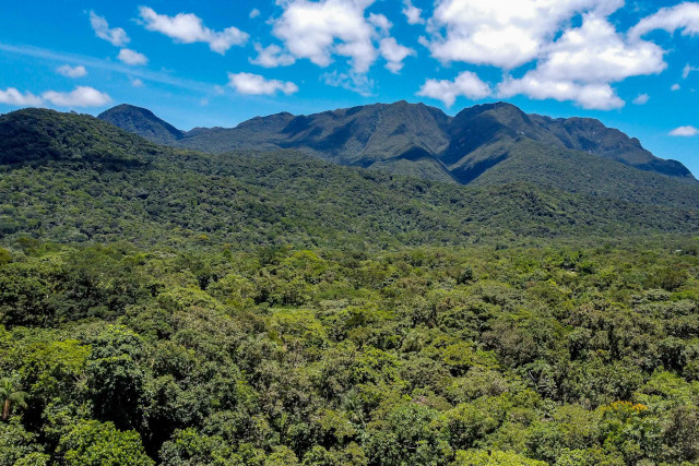 MataAtlantica_PR_640