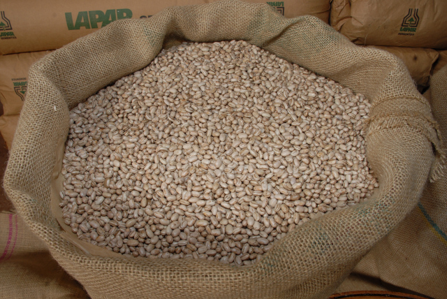 Feijao_Parana_01_640